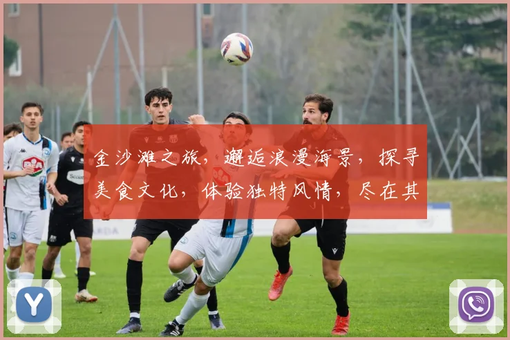 金沙滩之旅，邂逅浪漫海景，探寻美食文化，体验独特风情，尽在其中，不容错过。